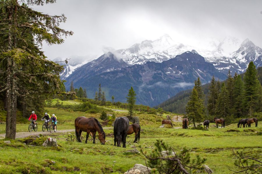 Mountainbike Sommer Familie Neukirchen Wildkogel 4